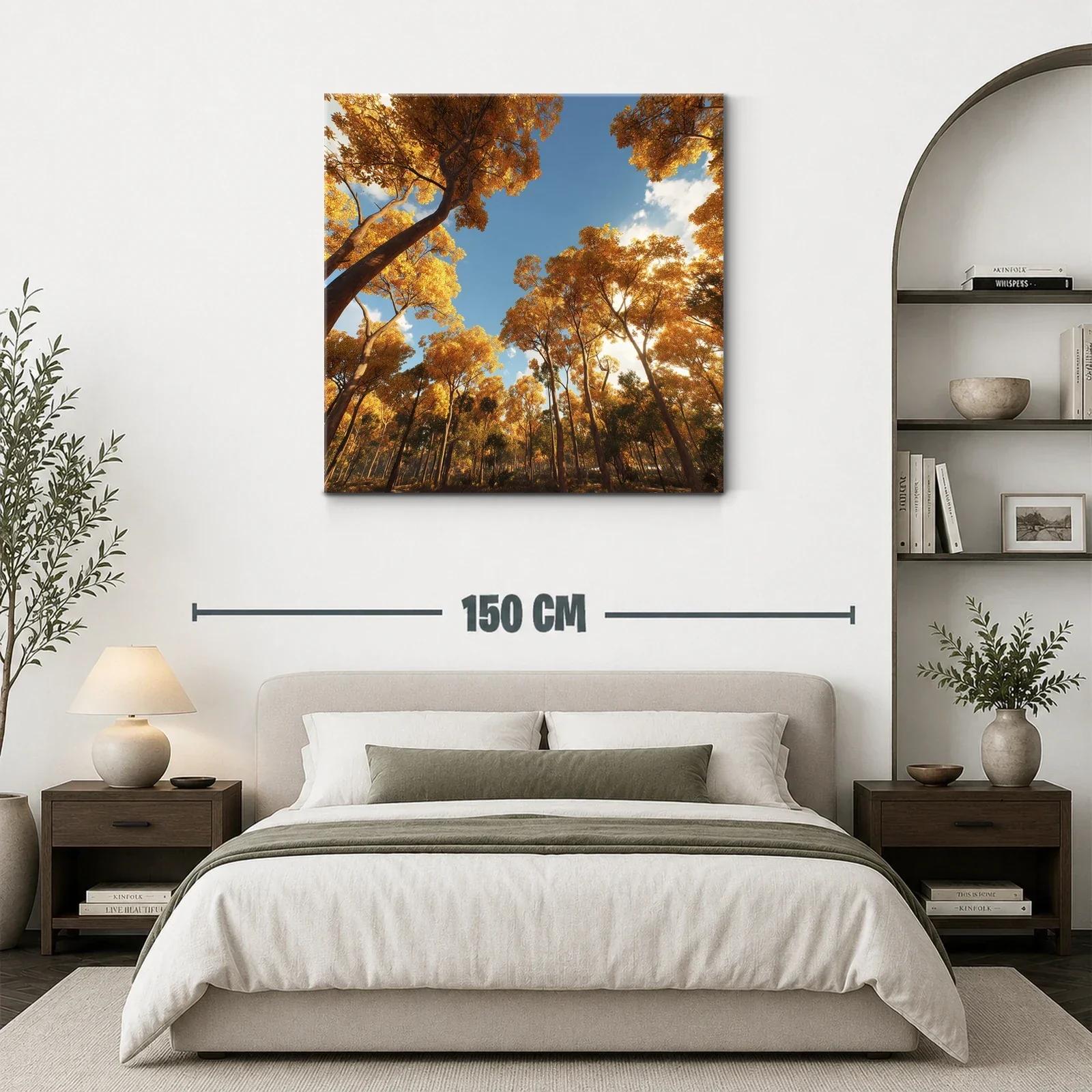 Bosque otoñal con luz cálida y cielo despejado — miniatura 3