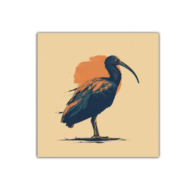 Impresionante ave con contraste en tonos oscuros y cálidos