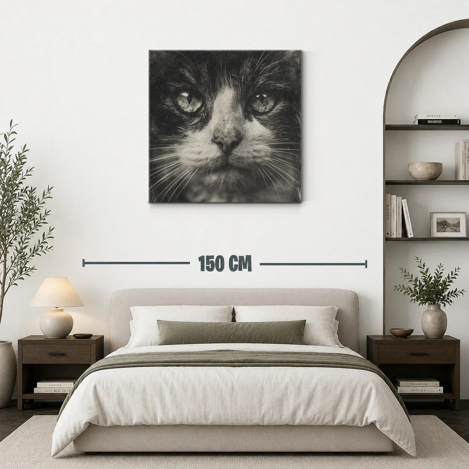 Impactante retrato de gato en tonos monocromáticos — miniatura 3