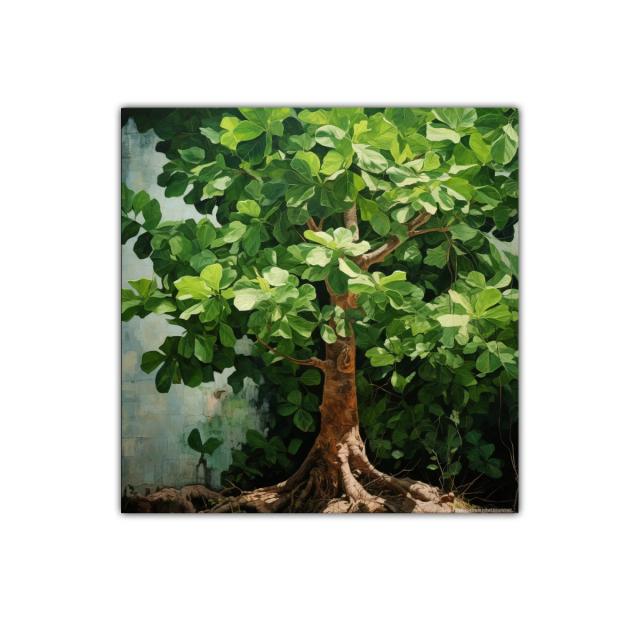 Cuadro decorativo árbol frondoso con raíces visibles