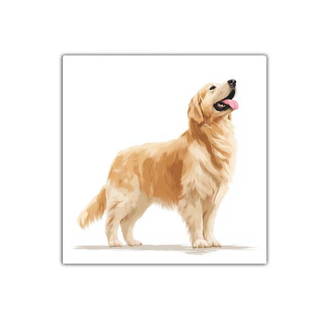 Cuadro decorativo con perro golden retriever sonriente