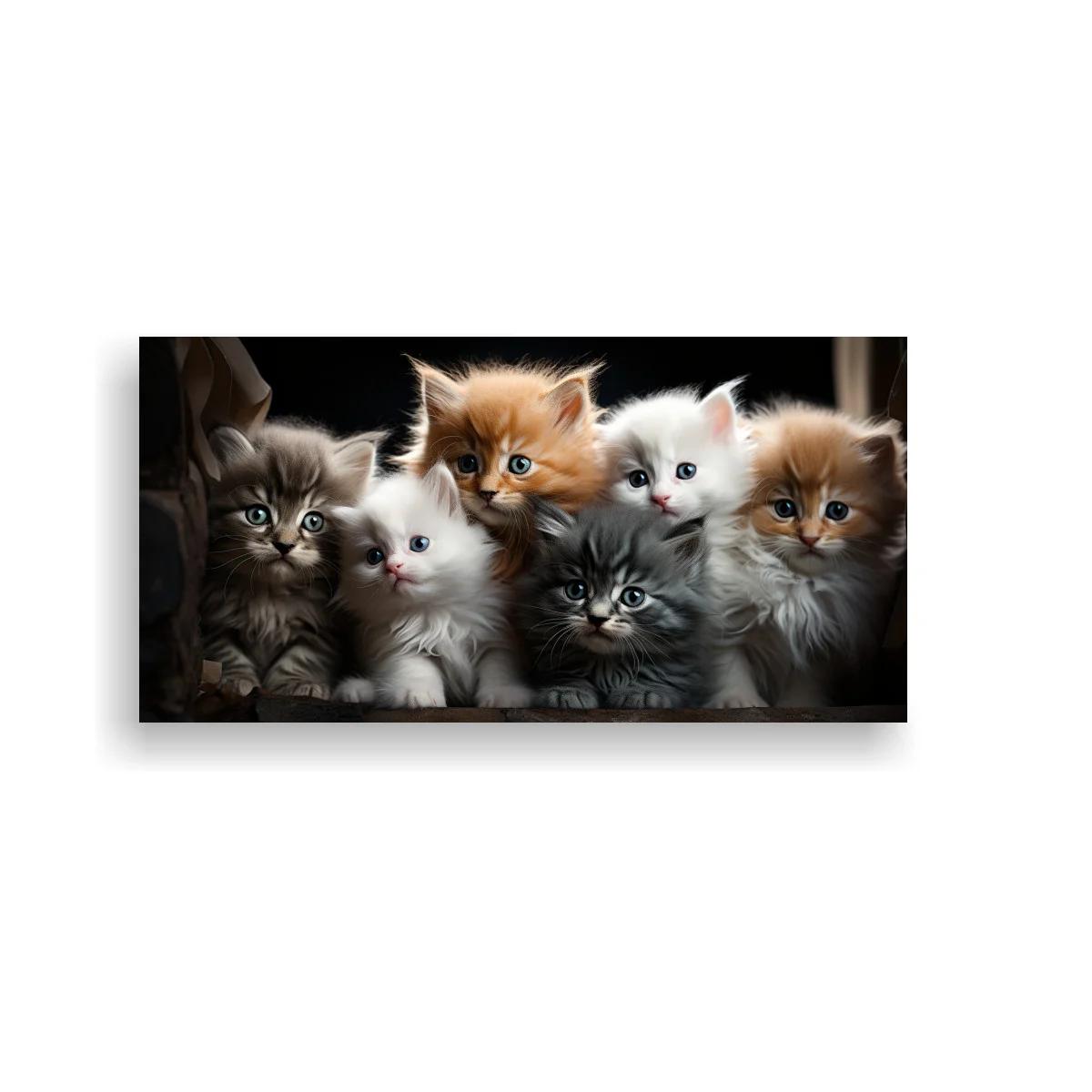 Cuadro de gatitos recortados sobre fondo oscuro