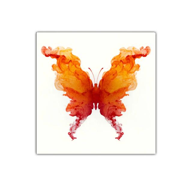 Mariposa en tonos cálidos de naranja y rojo