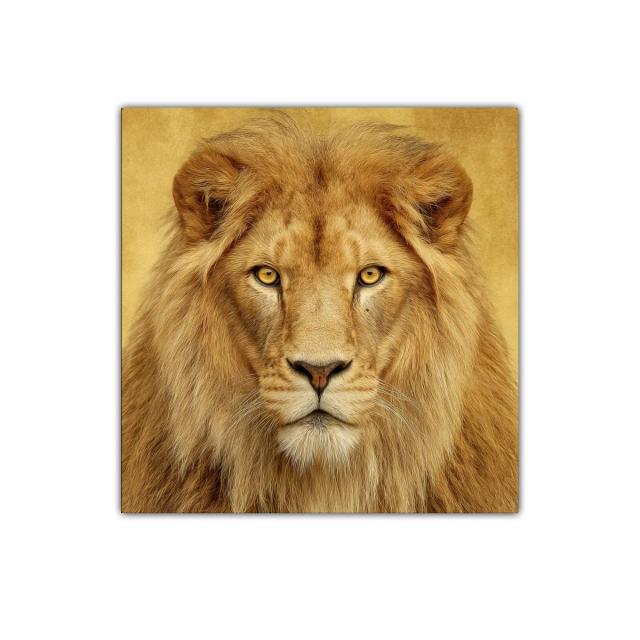 Retrato imponente de león con melena dorada y mirada fija