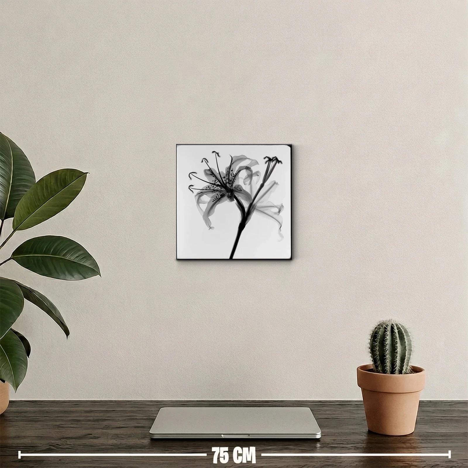Flor de lirio en tonalidades grises y detalles delicados — miniatura 2