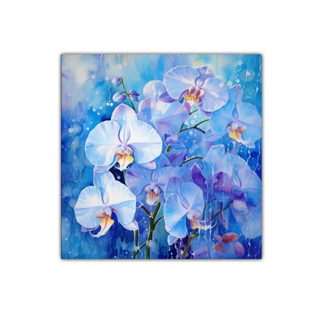 Orquídeas blancas sobre fondo azul vibrante