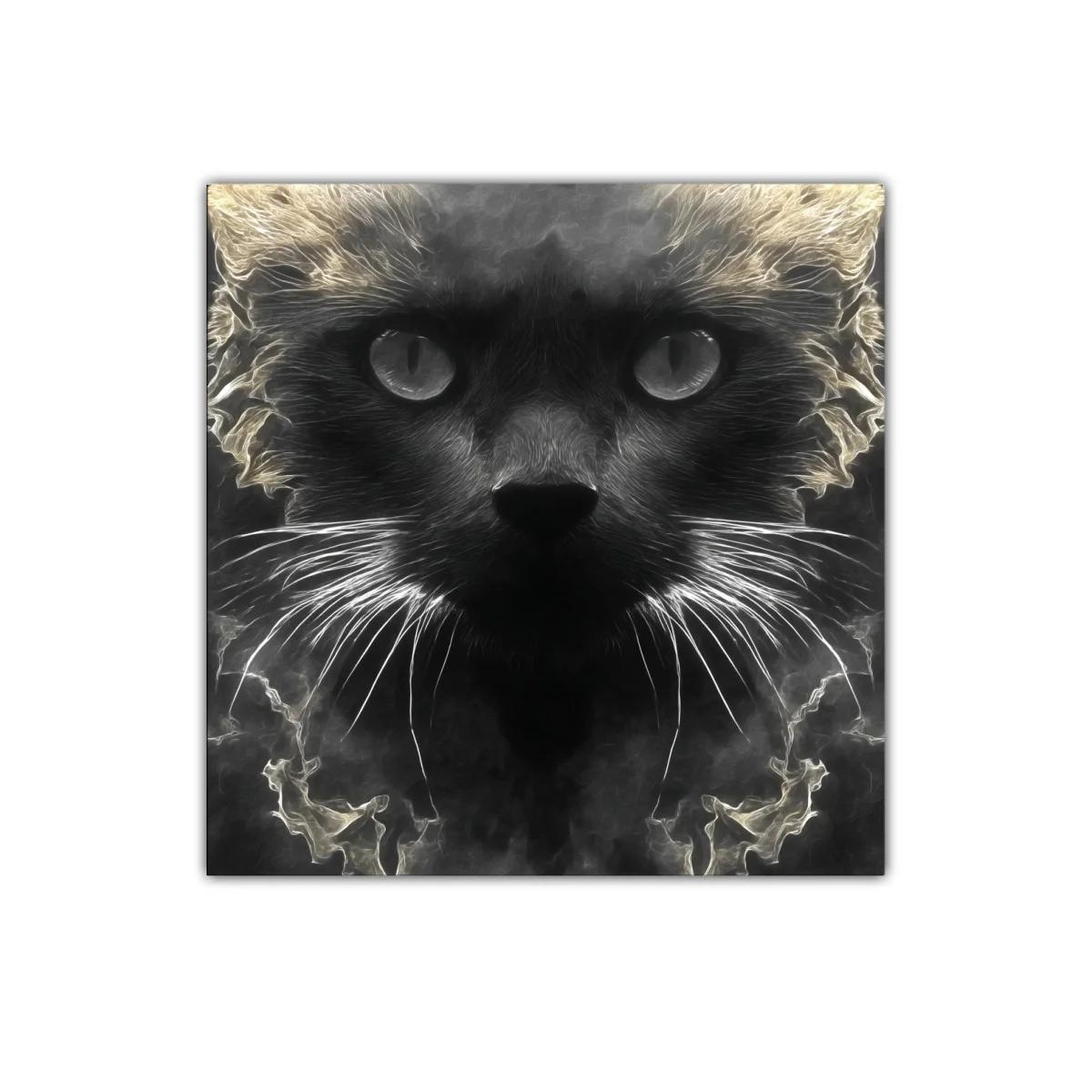 Impactante retrato de gato en tonos oscuros y luces etéreas — imagen principal