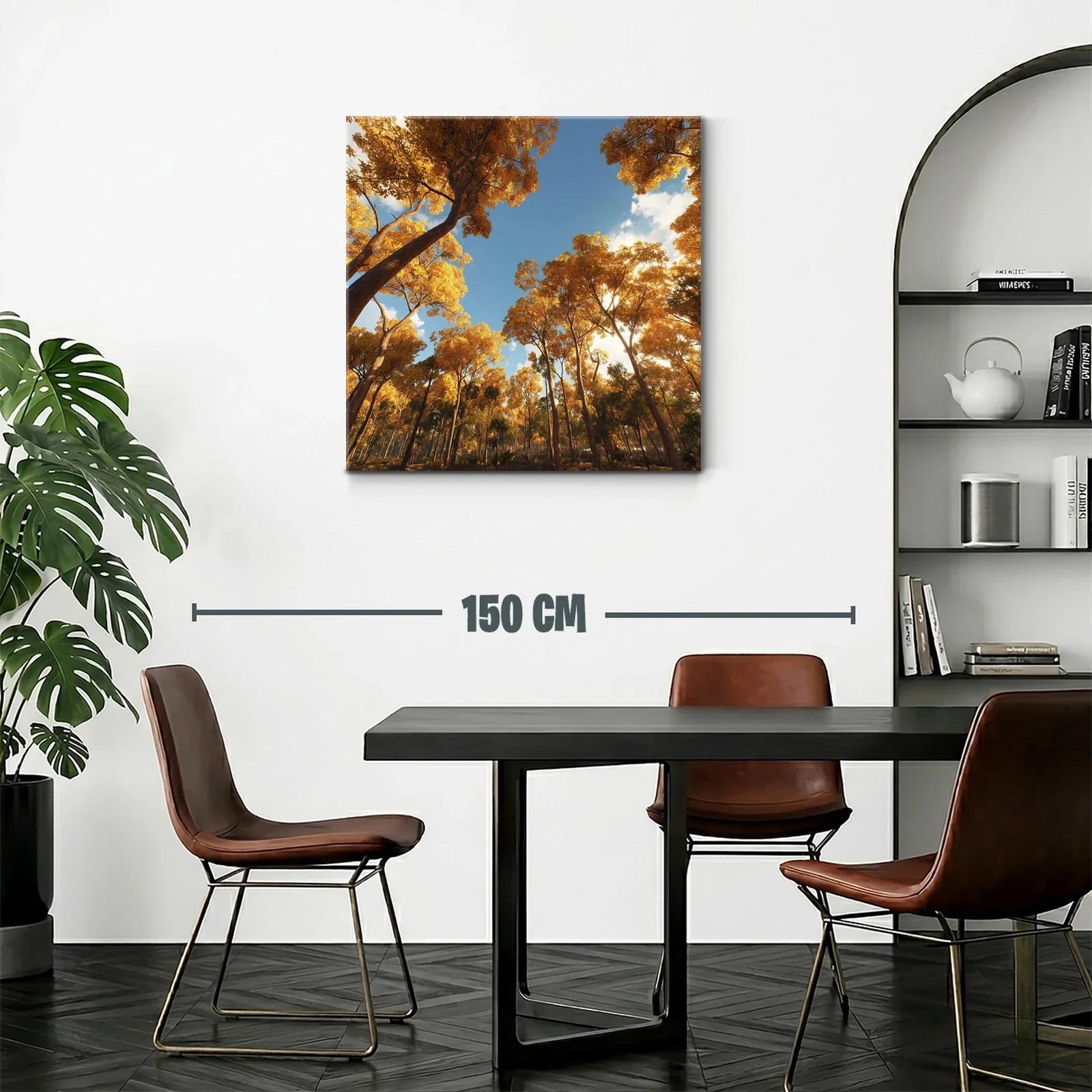 Bosque otoñal con luz cálida y cielo despejado — miniatura 2