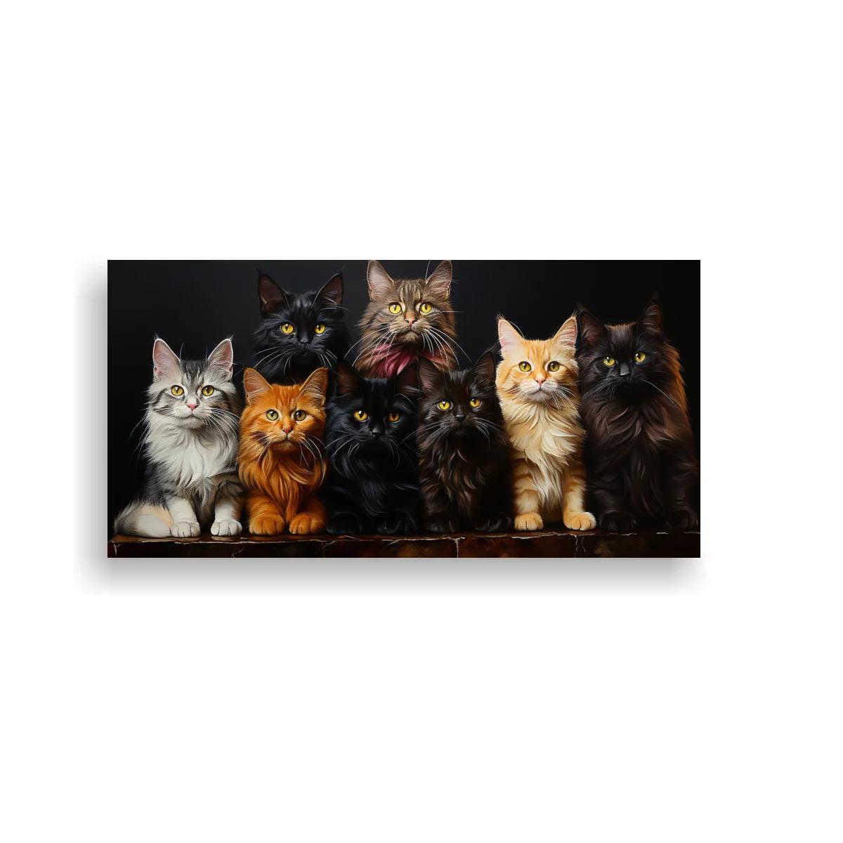 Cuadro grupo de gatos de pelo largo con fondo negro