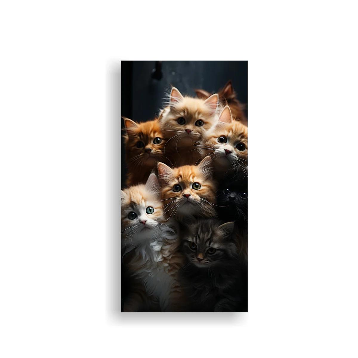 Cuadro grupo de gatitos peludos con ojos brillantes
