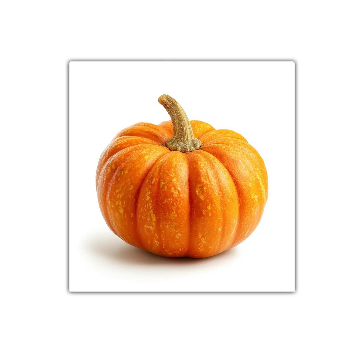 Cuadro decorativo de calabaza vibrante y natural — imagen principal