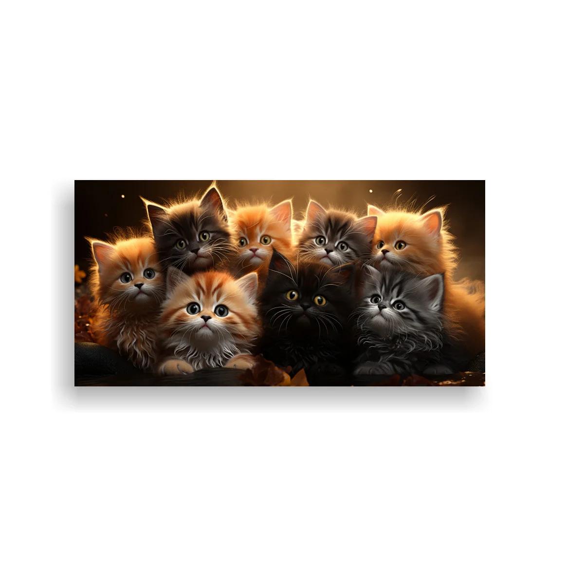Cuadro grupo de gatitos peludos sobre fondo oscuro