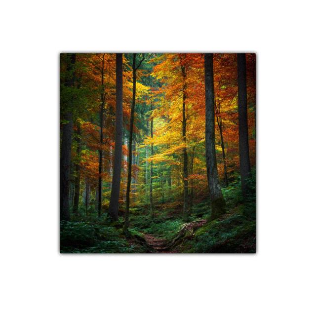 Bosque otoñal con vibrantes hojas anaranjadas y verdes