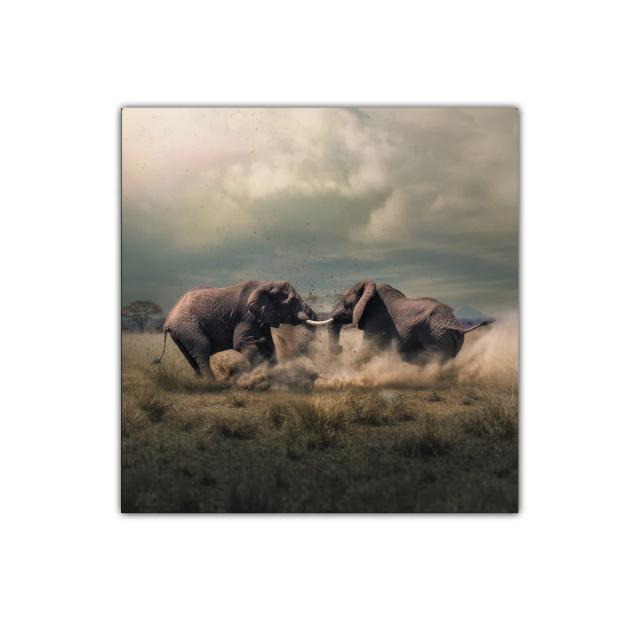 Encuentro poderoso de elefantes en la sabana africana