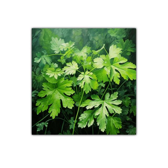 Cuadro decorativo con hojas verdes frescas y gotas de agua