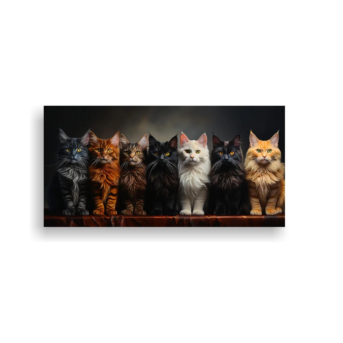 Cuadro grupo de gatos de pelo largo con fondo oscuro