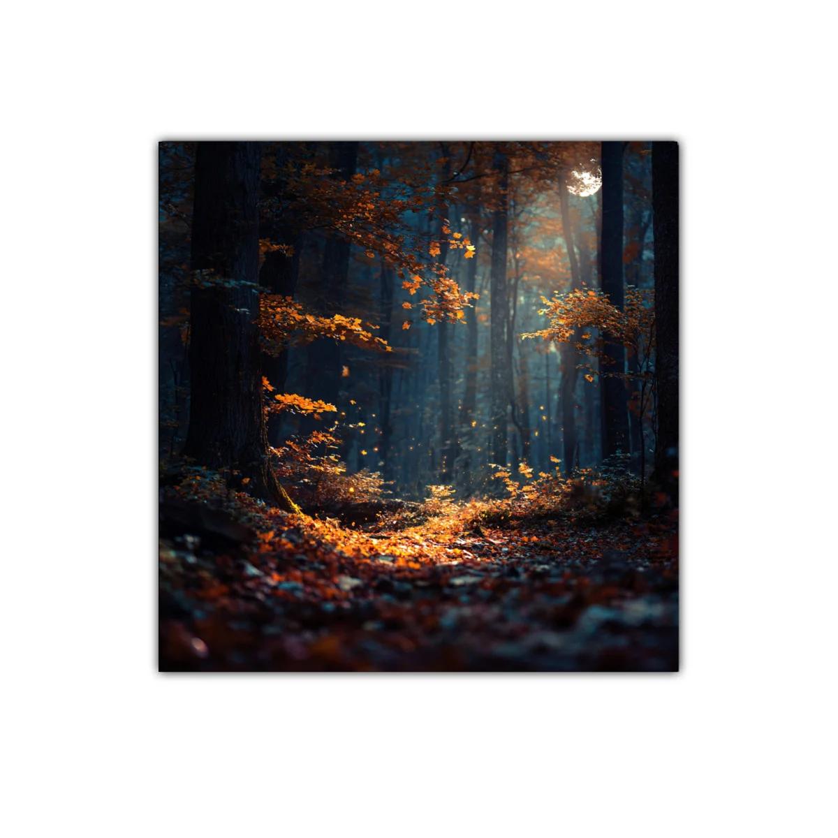 Bosque mágico iluminado entre sombras y hojas otoñales