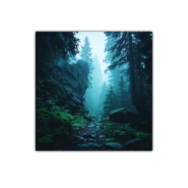 Camino entre árboles y rocas en bosque de niebla azulada