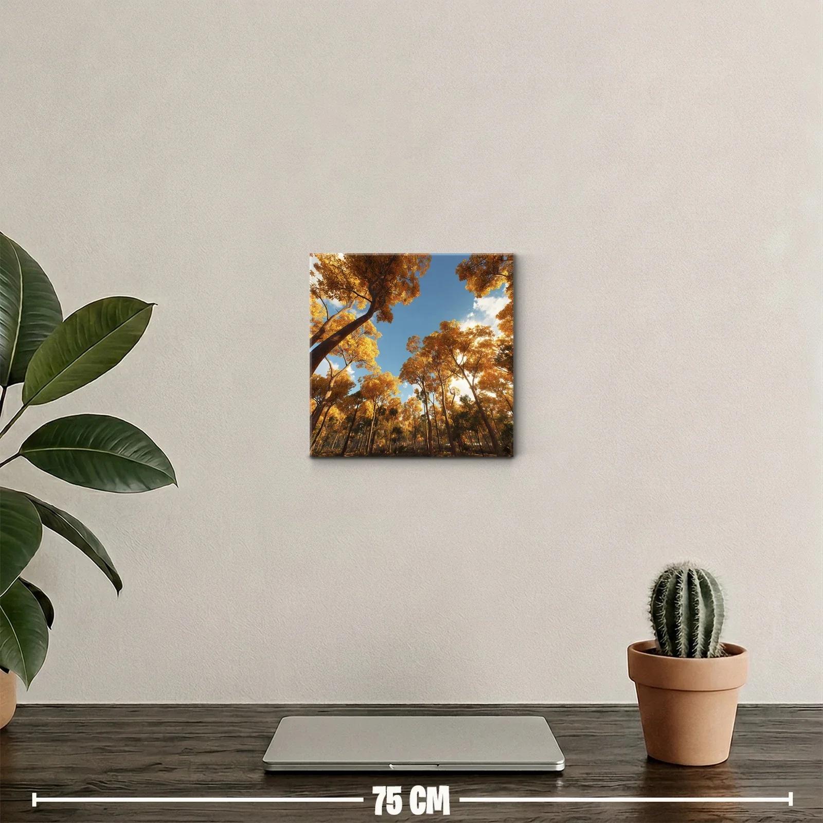 Bosque otoñal con luz cálida y cielo despejado — miniatura 2