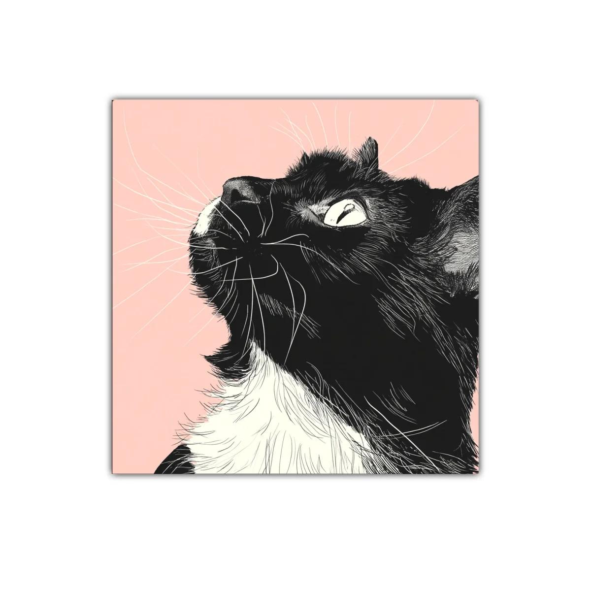 Retrato de gato negro y blanco con fondo rosa suave — imagen principal