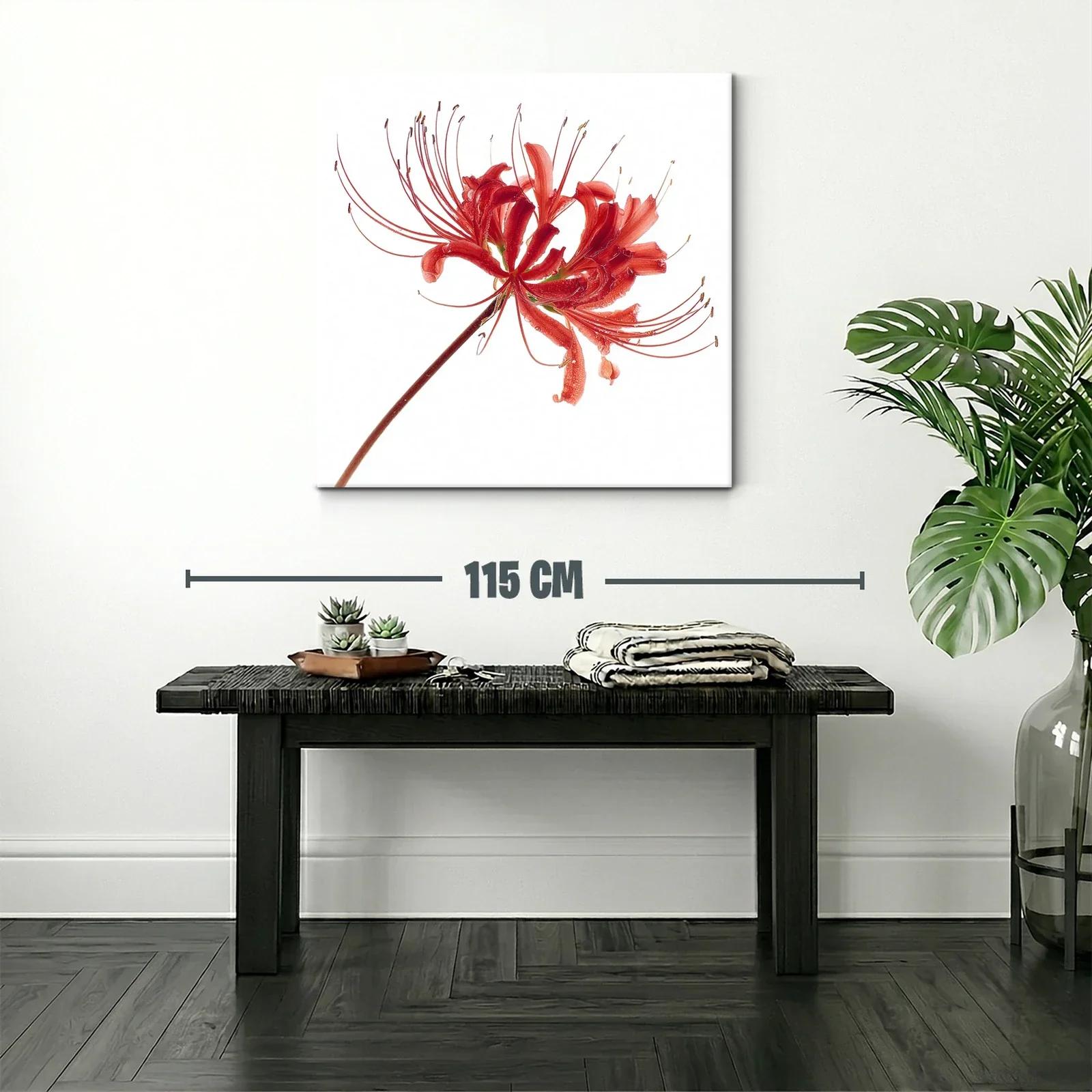 Flor roja elegante con delicados filamentos en blanco — miniatura 2