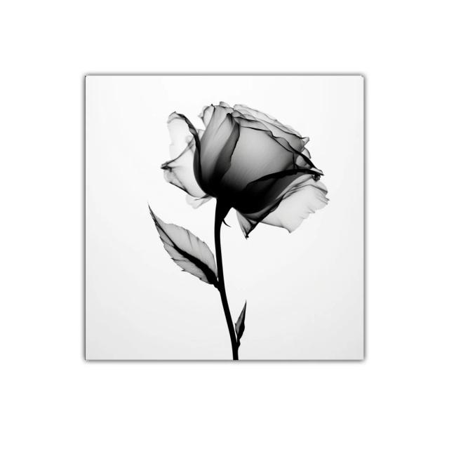 Elegante rosa en estilo minimalista en blanco y negro
