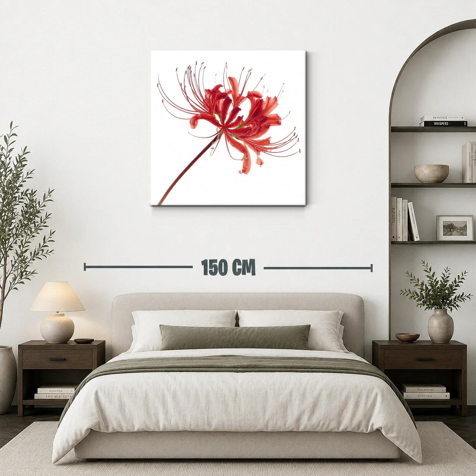 Flor roja elegante con delicados filamentos en blanco — miniatura 3