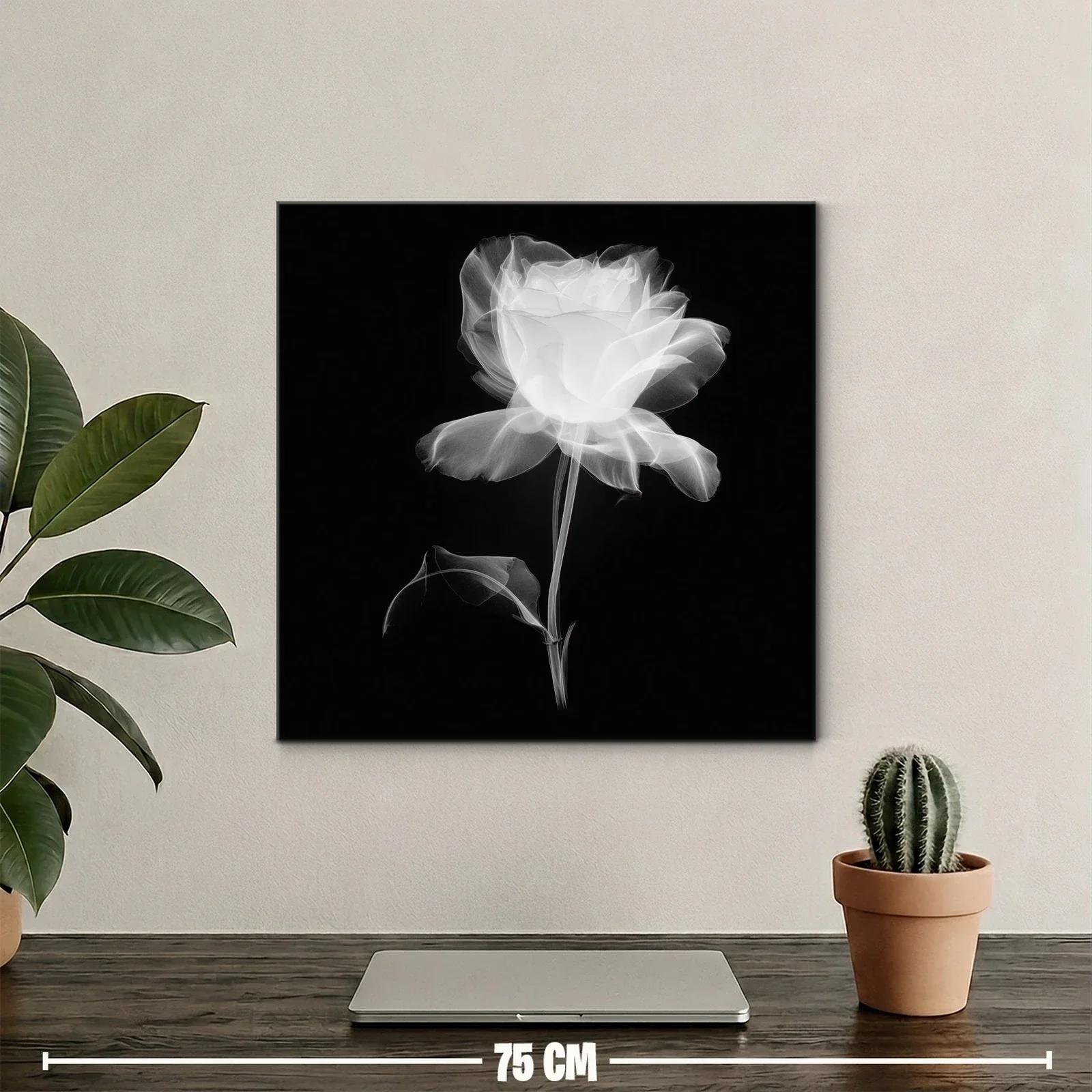 Rosa blanca etérea sobre fondo oscuro — miniatura 2
