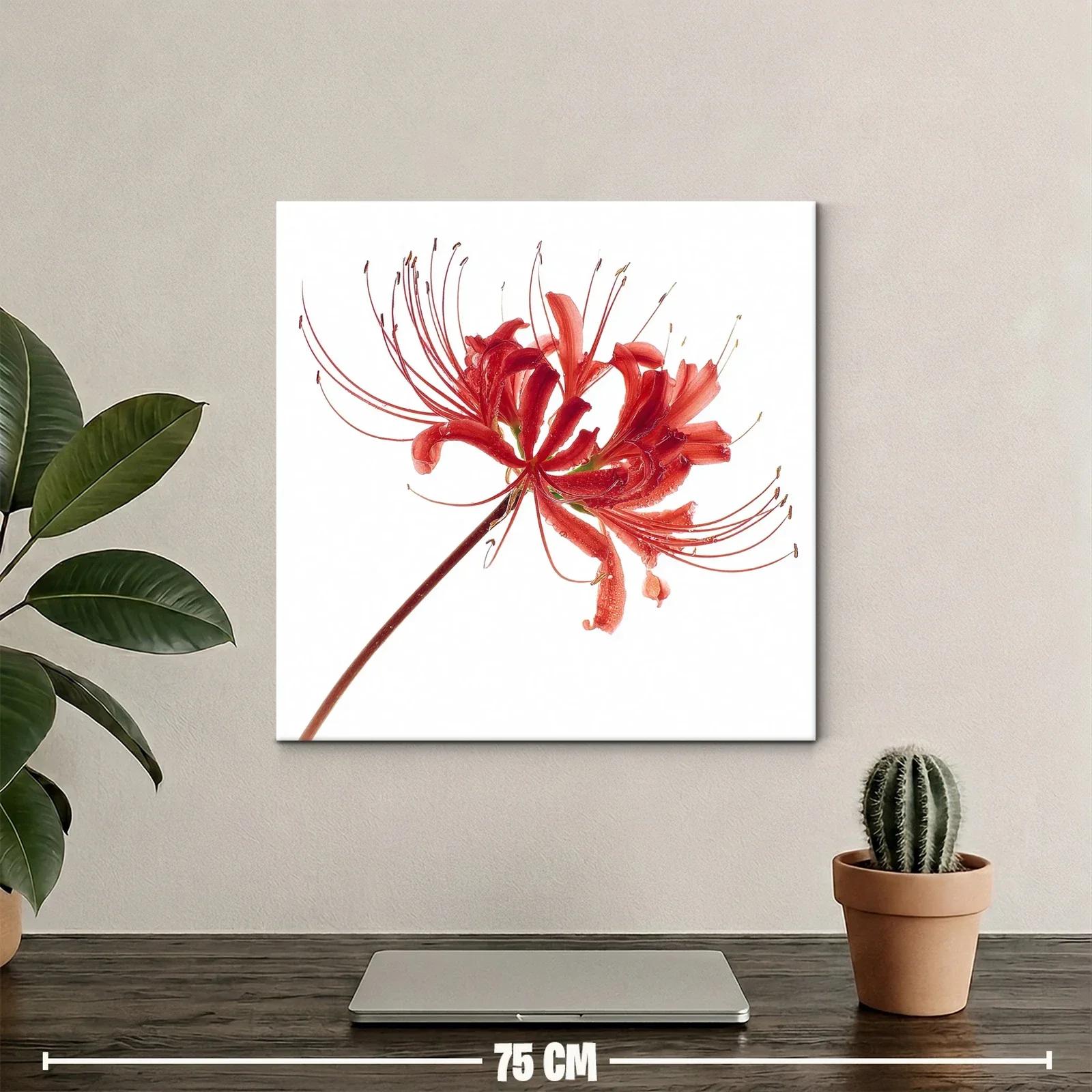 Flor roja elegante con delicados filamentos en blanco — miniatura 2