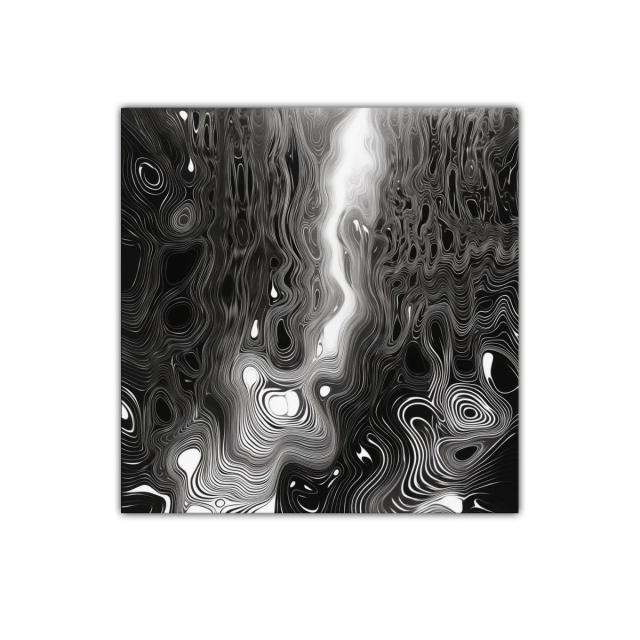 Diseño abstracto en blanco y negro con líneas onduladas