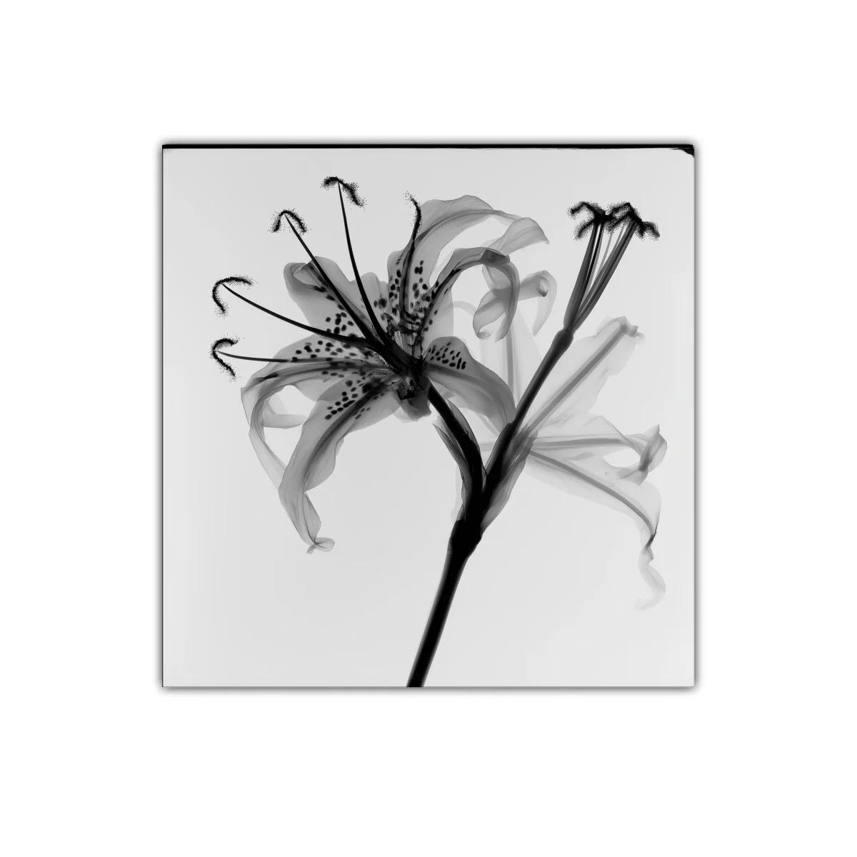 Flor de lirio en tonalidades grises y detalles delicados — imagen principal