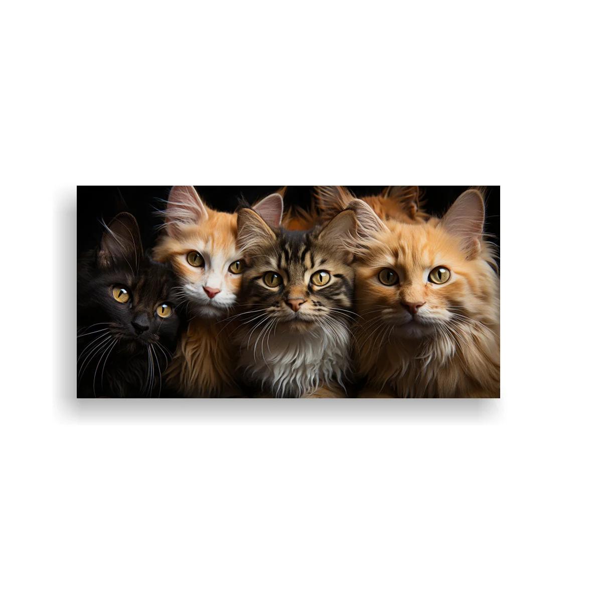 Cuadro grupo de gatos de pelo largo sobre fondo negro