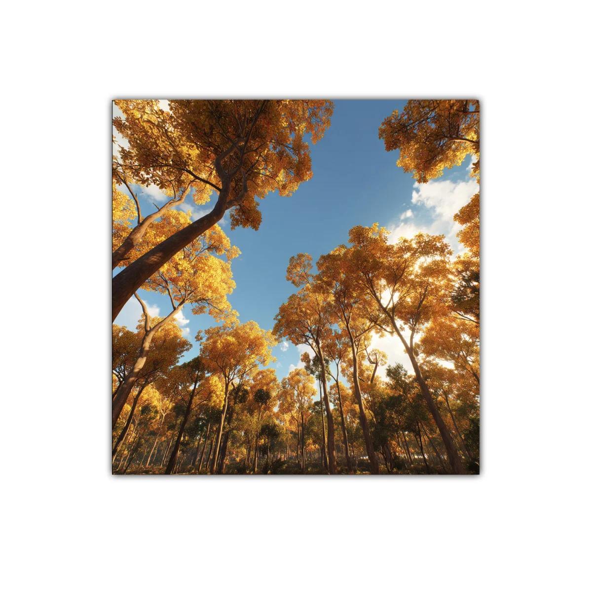 Bosque otoñal con luz cálida y cielo despejado