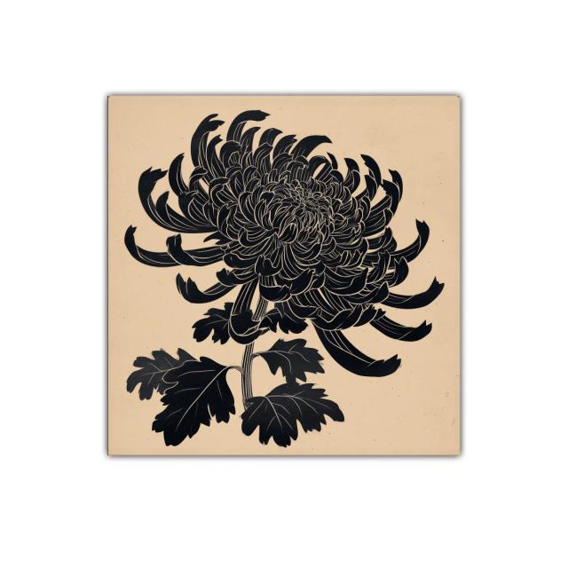 Flor negra de crisantemo sobre fondo beige elegante