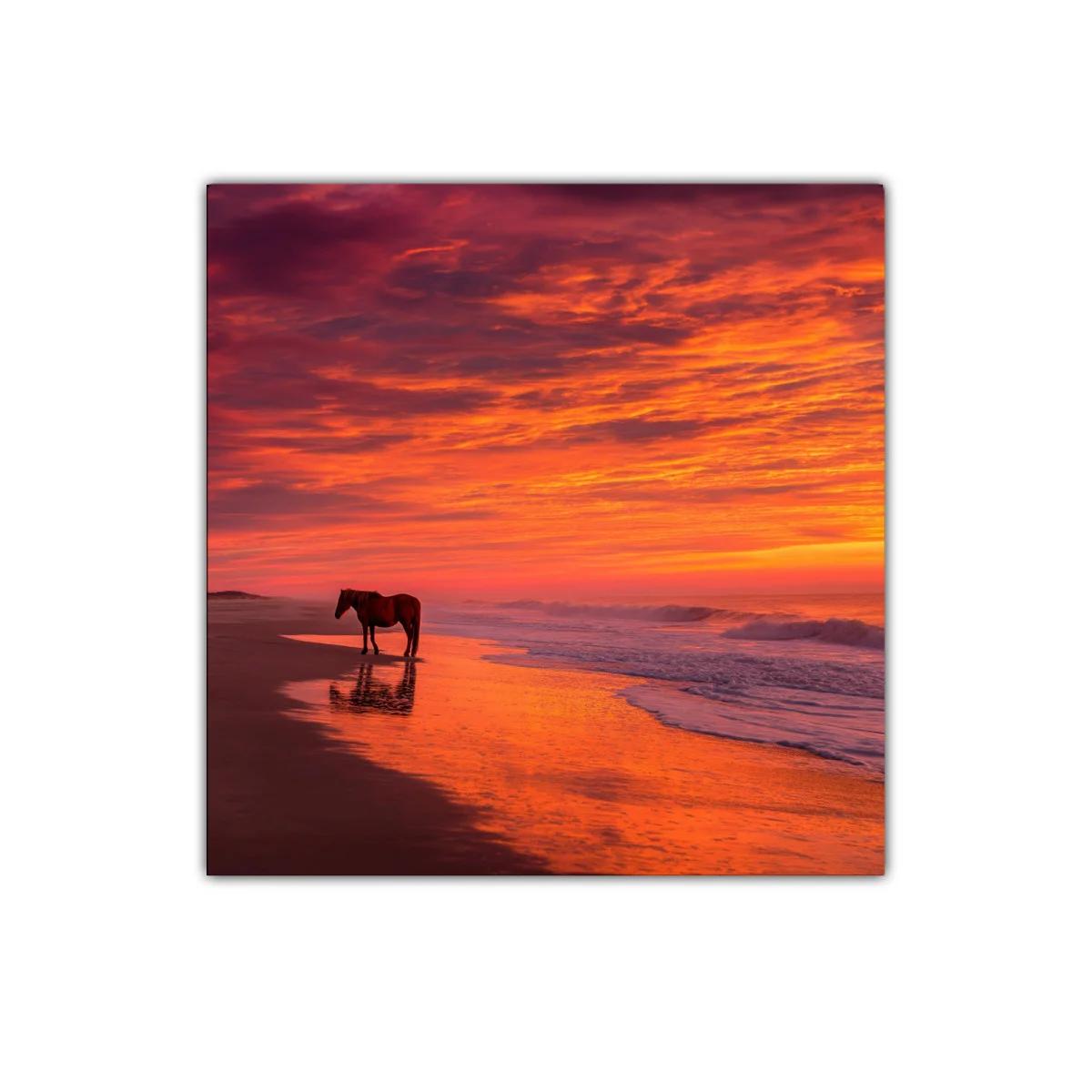 Paisaje marino con caballo al atardecer encendido — imagen principal