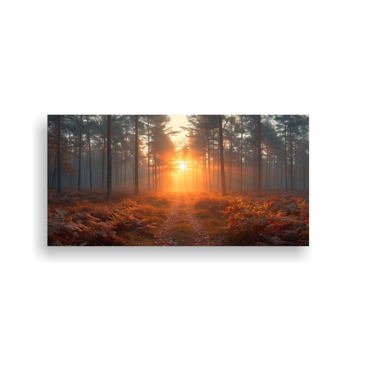 Cuadro bosque de pinos al amanecer con sendero y helechos