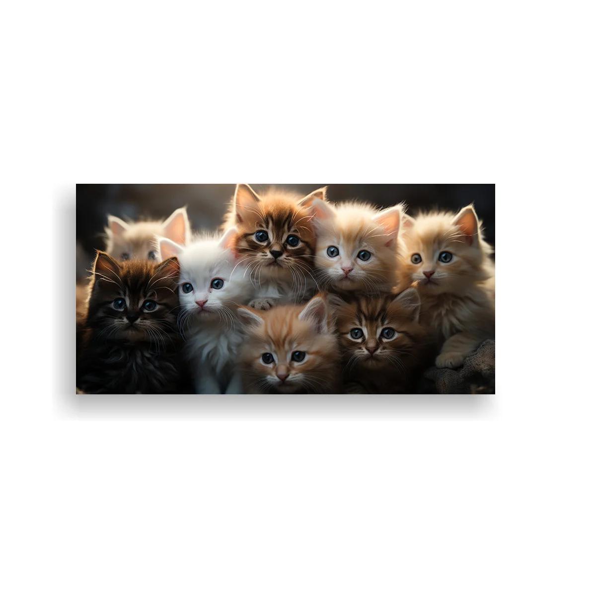 Cuadro grupo de gatitos con pelaje esponjoso y fondo oscuro