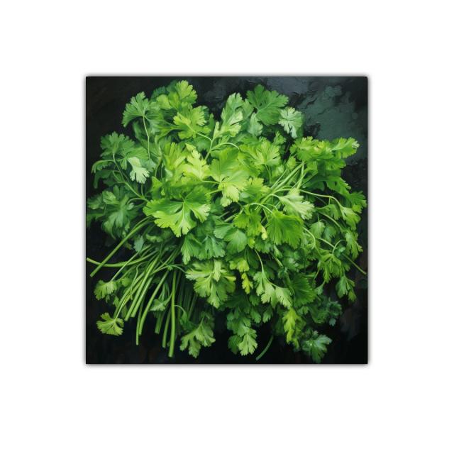 Cuadro con ramo de hojas verdes frescas y naturales