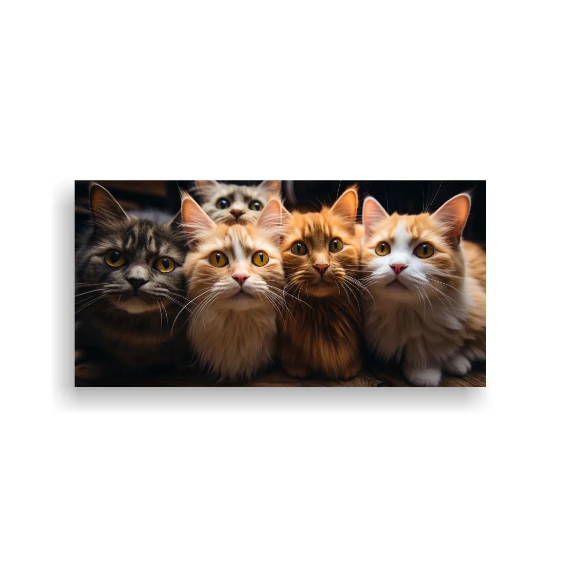 Cuadro cuatro gatos de pelo largo alineados — imagen principal