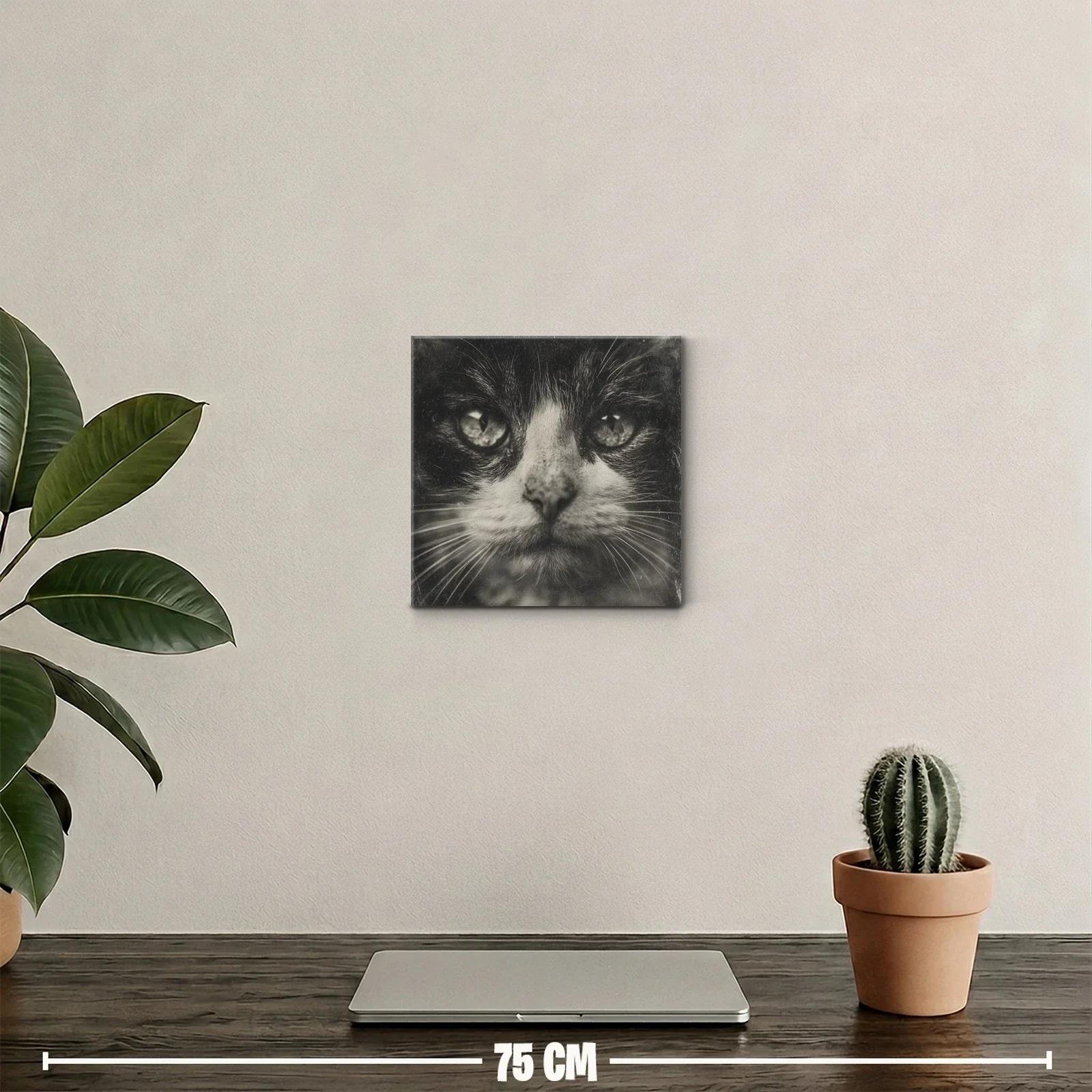 Impactante retrato de gato en tonos monocromáticos — miniatura 2
