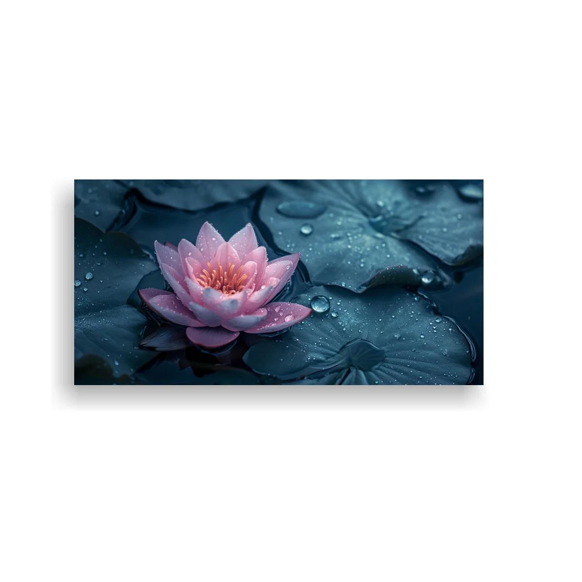 Cuadro nenúfar rosa con gotas de agua — imagen principal