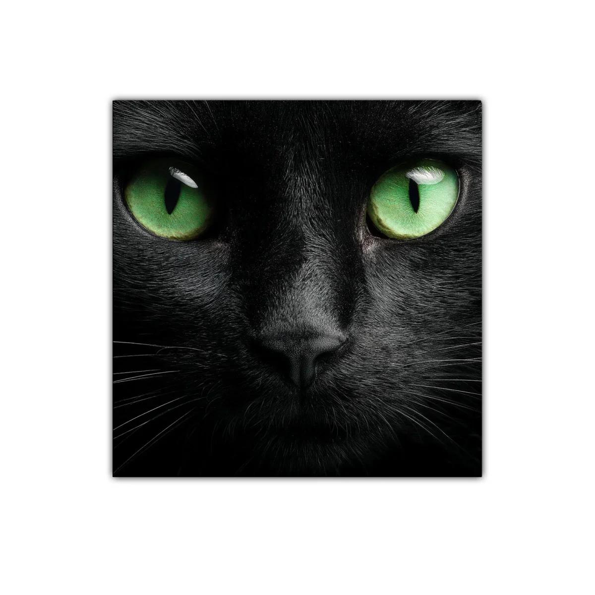 Impactante rostro de gato negro con ojos verdes intensos — imagen principal