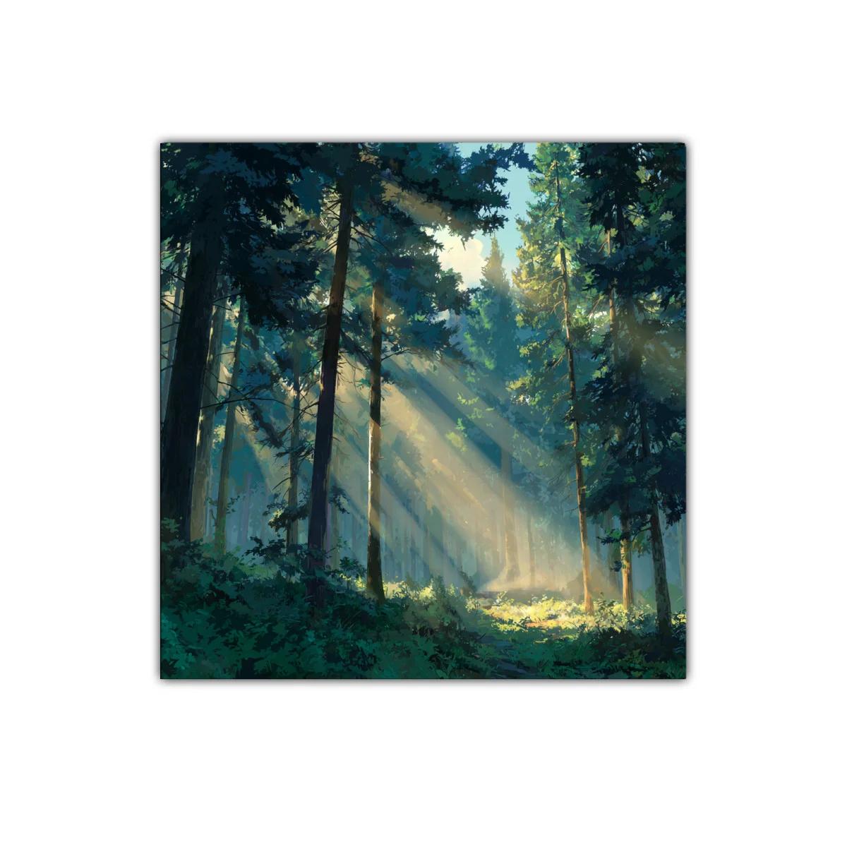 Bosque iluminado por rayos de sol entre árboles altos