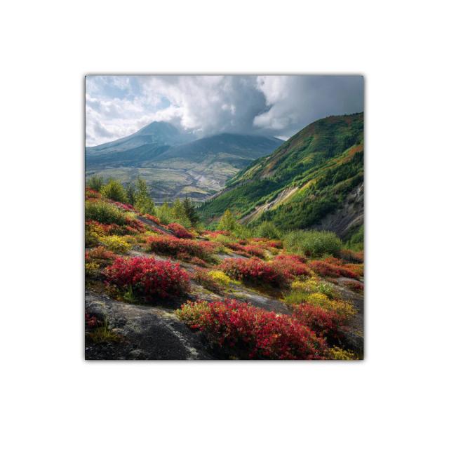 Paisaje montañoso con flores silvestres en colores vivos