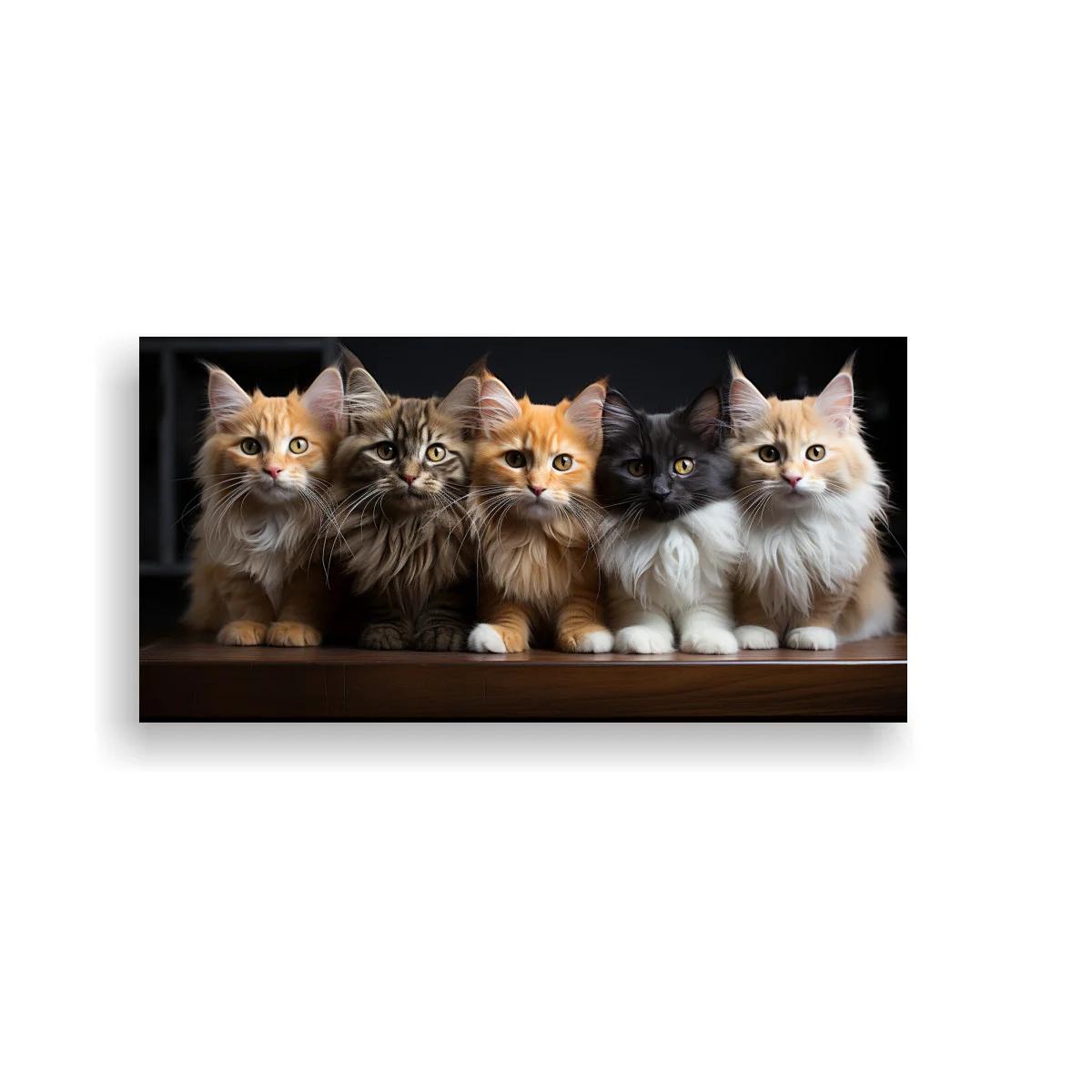 Cuadro grupo de cinco gatitos peludos sobre madera