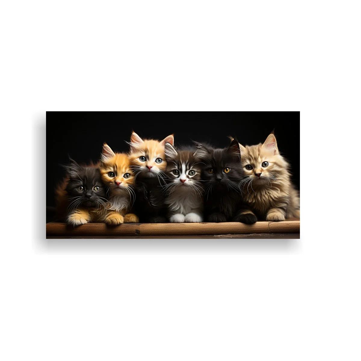 Cuadro grupo de gatitos peludos con fondo oscuro — imagen principal
