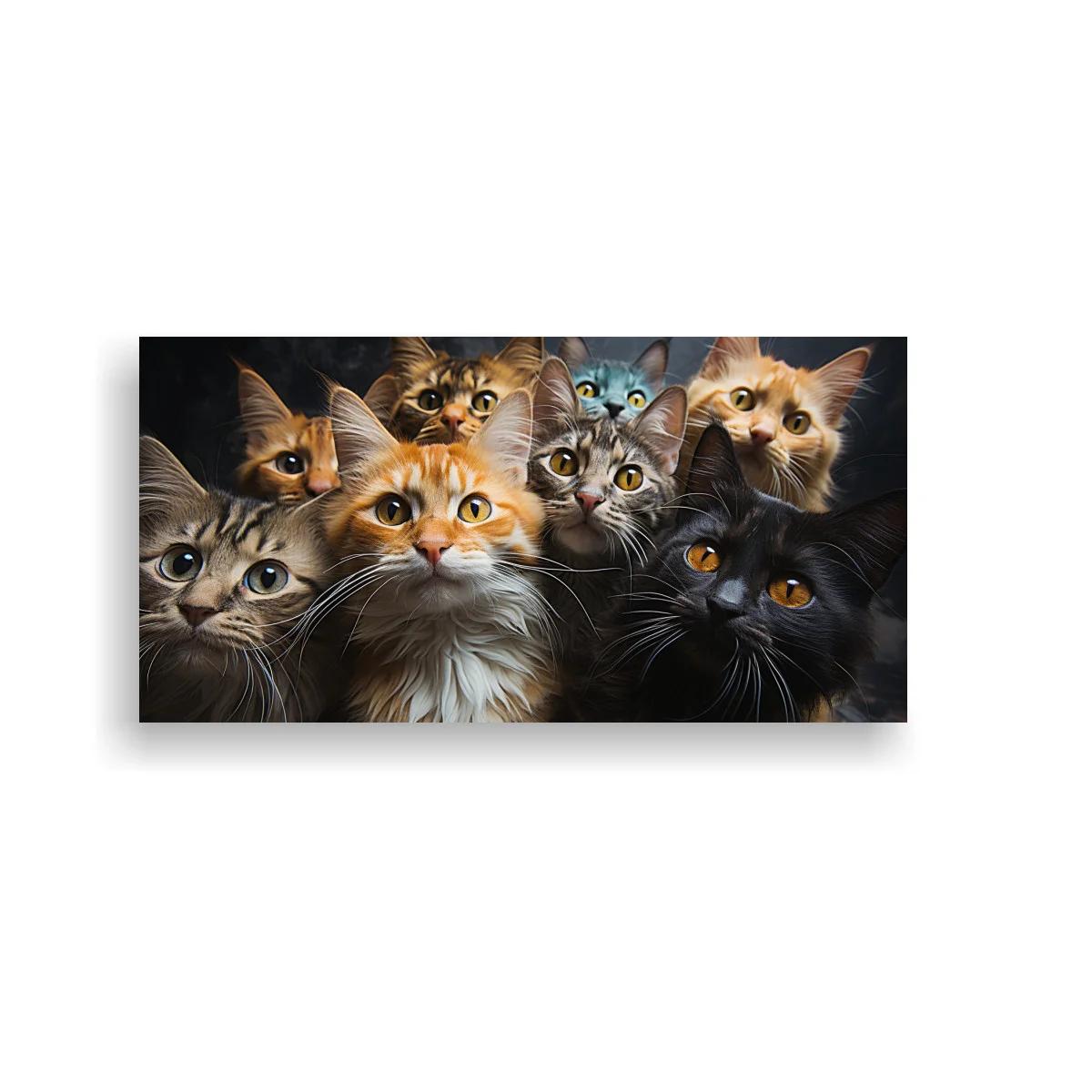 Cuadro grupo de gatos domésticos de ojos grandes y pelaje esponjoso