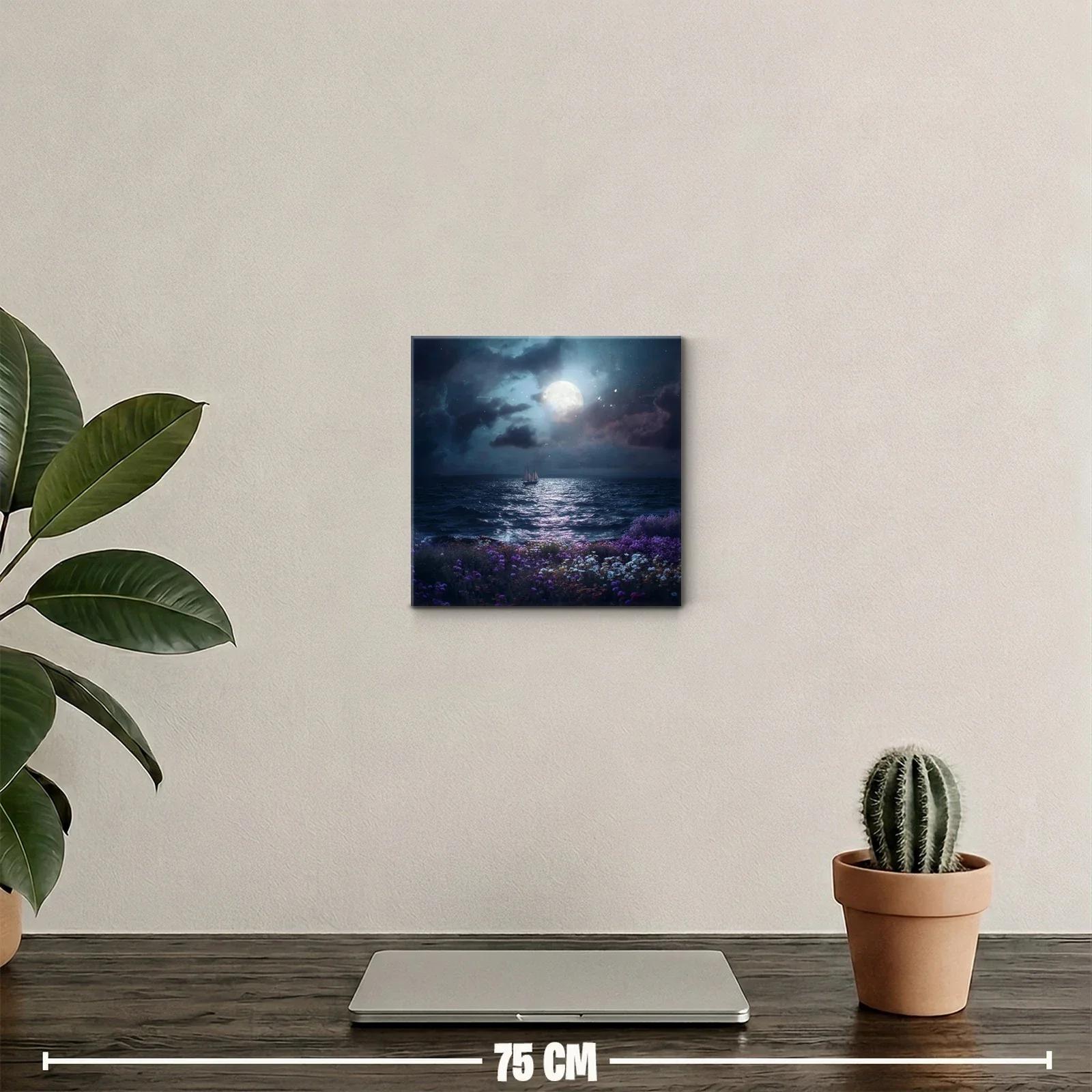 Navegando bajo la luna en calma nocturna — miniatura 2