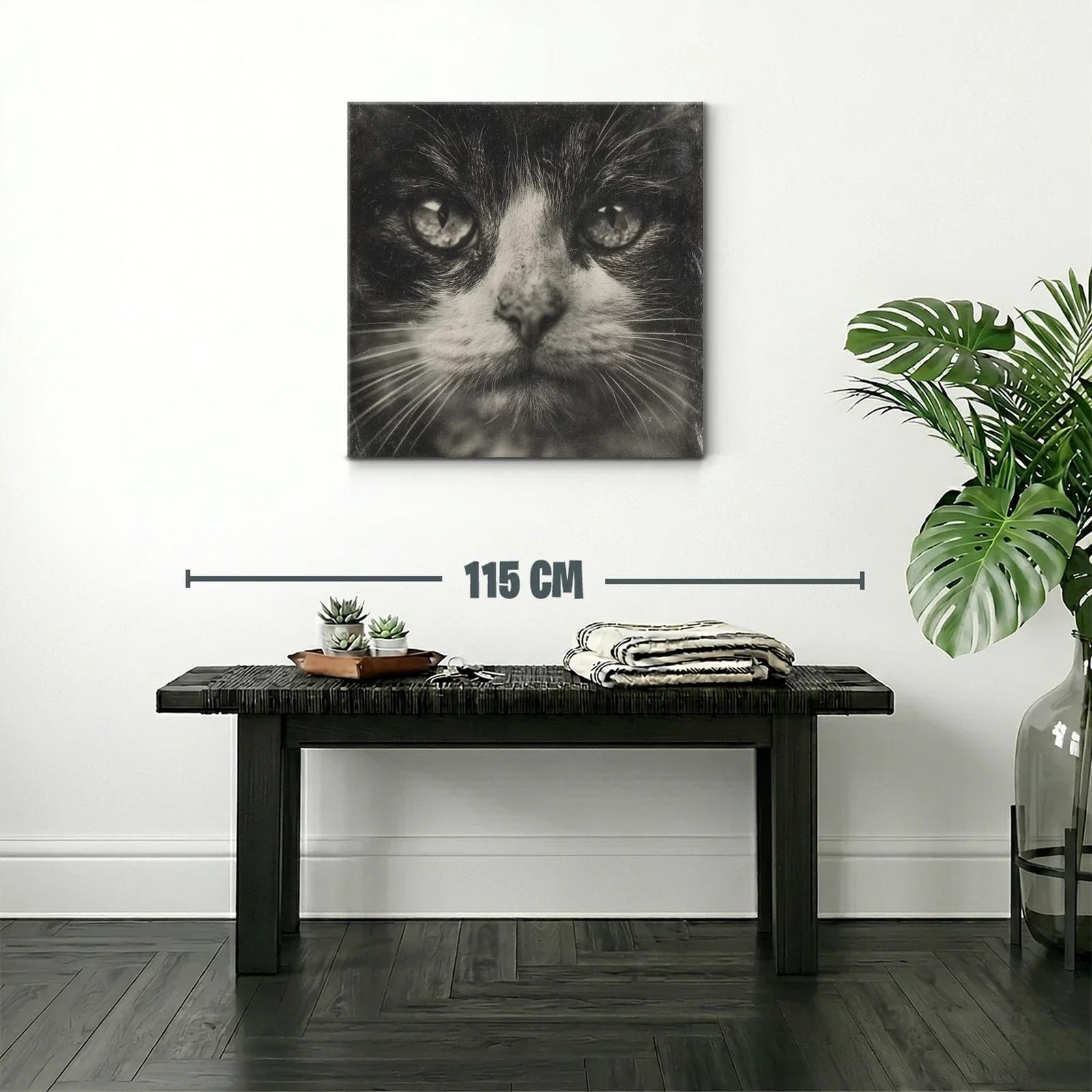 Impactante retrato de gato en tonos monocromáticos — miniatura 2