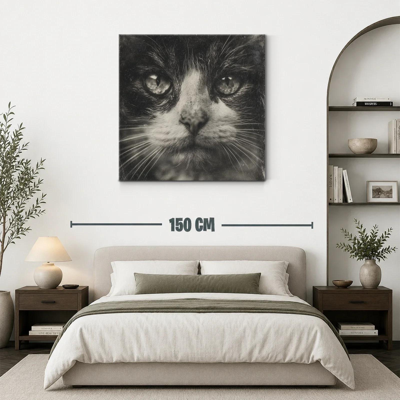 Impactante retrato de gato en tonos monocromáticos — miniatura 3